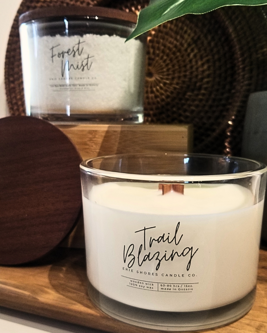 Spa Collection - Trail Blazing 15oz Candle featuring Forest Mist Bath Salts